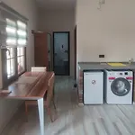 Anemos Stone Apartament Oren (Milas)